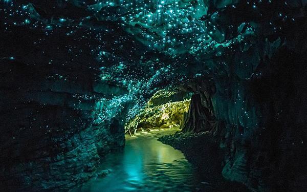 市区落户门槛房,认准“海王”组合!