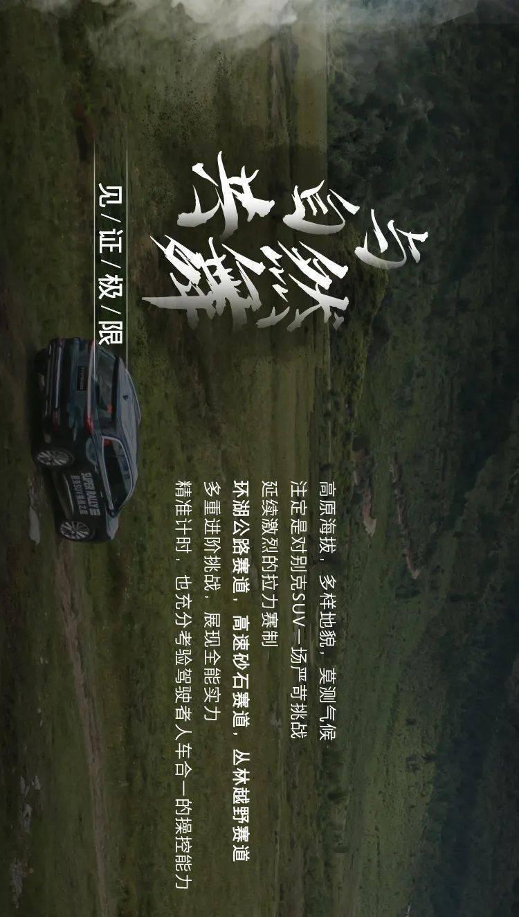 植物大战僵尸17
