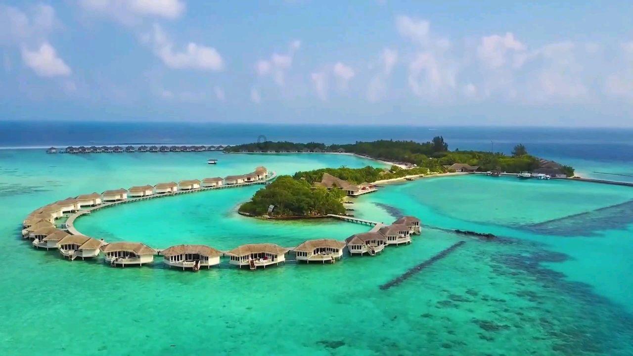 你能逃离此地吗