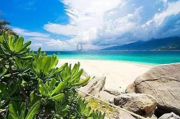 地瓜饼的家常做法游戏画面